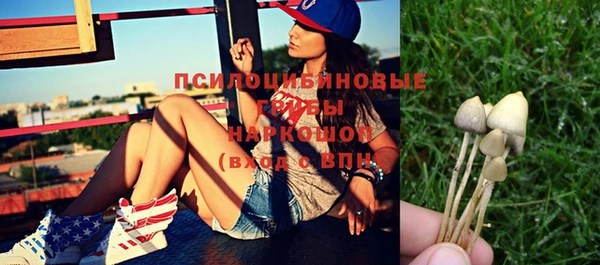 прущие грибы Белокуриха