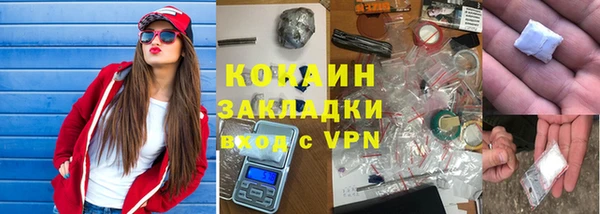 прущие грибы Белокуриха