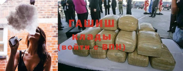 прущие грибы Белокуриха